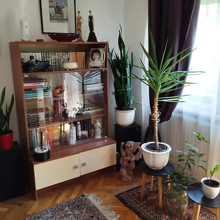 D6 * Szeged
